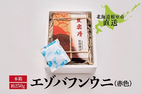[12月17日決済分まで年内配送]エゾバフンウニ(赤色)約250g×1折 F-22001