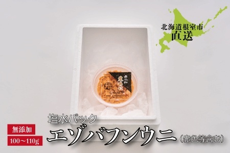 [12月17日決済分まで年内配送]エゾバフンウニ(赤色等含む)塩水パック100～110g×1パック A-22001
