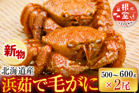 ボイル毛がに500～600g×2尾 F-11030