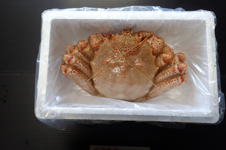 根室海鮮市場<直送>ボイル毛がに900g~1.1kg×1尾 F-28029