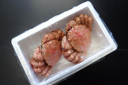 根室海鮮市場<直送>ボイル毛がに500~600g×2尾 F-28030