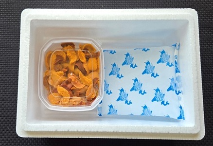 エゾバフンウニケース詰め(赤系)約60～70g×1P[2026年2月下旬以降発送] G-71005