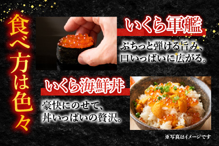 【年内配送可】鮭いくら醤油漬け80g×8P(計640g) B-81019