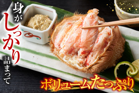 根室海鮮市場＜直送＞ボイル毛がに600～750g×1尾 B-28124