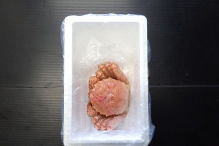 根室海鮮市場<直送>ボイル毛がに600~750g×1尾 B-28124