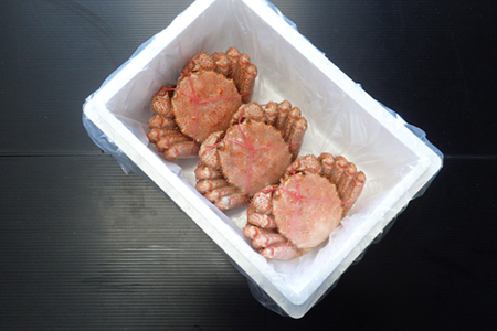 根室海鮮市場<直送>ボイル毛がに600~750g×3尾 D-28062