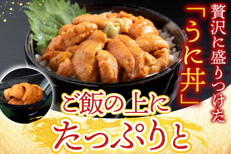 [12月7日決済分まで年内配送]無添加エゾバフンウニ(赤系)100g×2P B-20015