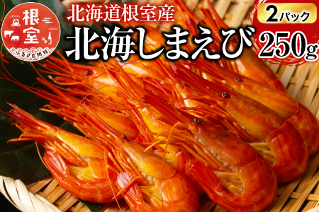 【北海道根室産】北海しまえび250g×2P(計22～32尾) B-20013