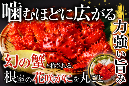 【北海道根室産】花咲かに700g×2尾(計1.4kg) F-20013