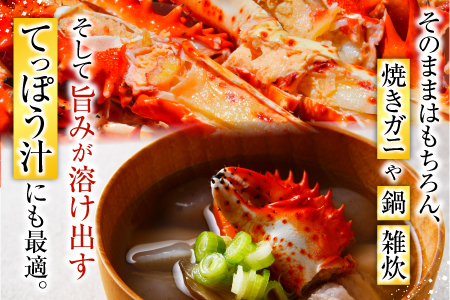 【北海道根室産】花咲かに700g×2尾(計1.4kg) F-20013