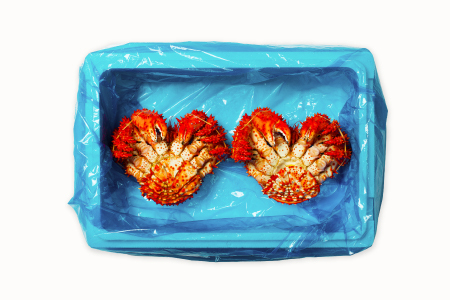 【北海道根室産】花咲かに700g×2尾(計1.4kg) F-20013