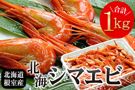 ＜12月22日決済分まで年内配送＞【北海道根室産】北海シマエビ1kg(160～180尾) A-07012