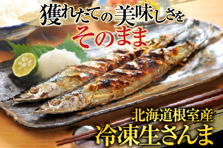 【北海道根室産】冷凍生さんま500g×4P(計2kg) A-19016