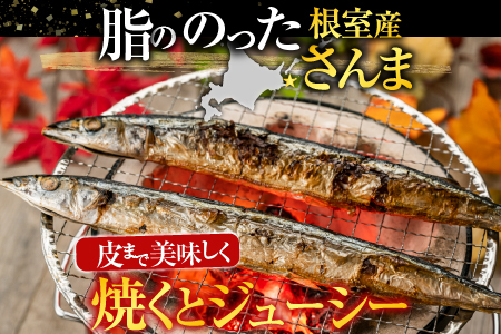 【北海道根室産】冷凍生さんま500g×4P(計2kg) A-19016