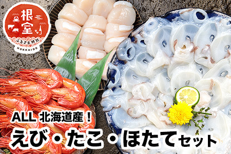 シマエビ400g・タコしゃぶ500g・ほたて300gセット B-24020