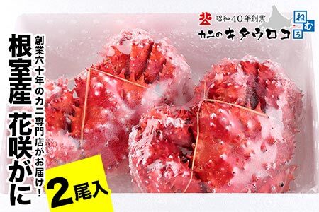 【北海道根室産】花咲がに550g～650g前後×2尾 A-25026