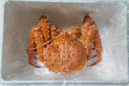 【北海道根室産】本タラバガニ800g前後×1尾 C-57059