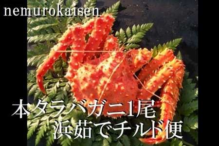 【北海道根室産】(チルド便)本タラバガニ700g前後×1尾 C-57060