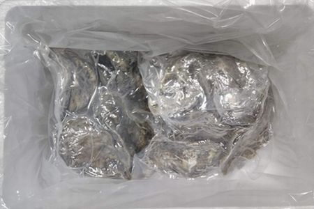 殻付き牡蠣の酒蒸し10個入 A-57065