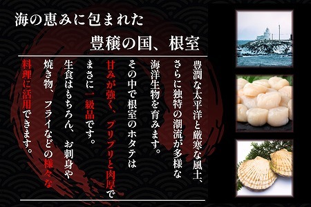 ホタテ貝柱150g×4セット B-50013