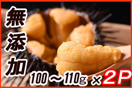 B-30004 ムラサキウニ塩水パック(100~110g)×2P