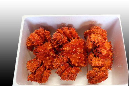 [12月21日決済分まで年内配送]【北海道根室産】花咲かに400g前後～550g前後×3尾 B-30015