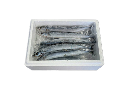 【北海道根室産】冷凍さんま20尾入り A-36003