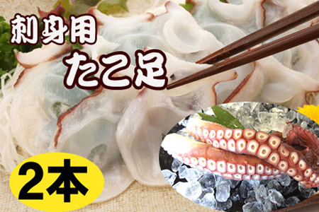【北海道根室産】お刺身用たこ足2本(計2～2.5kg) C-36068