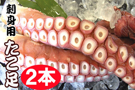 【北海道根室産】お刺身用たこ足2本(計2～2.5kg) C-70068