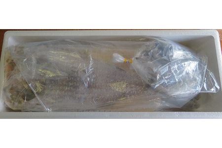 【12/31決済分まで1月中配送】 【北海道根室産】ホッケ・コマイセットB B-59003