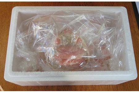 [12月21日決済分まで年内配送]ずわいがに甲羅盛り120g×5個 B-59006