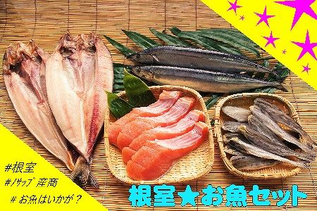 【北海道根室産】根室のお魚セットB C-59004