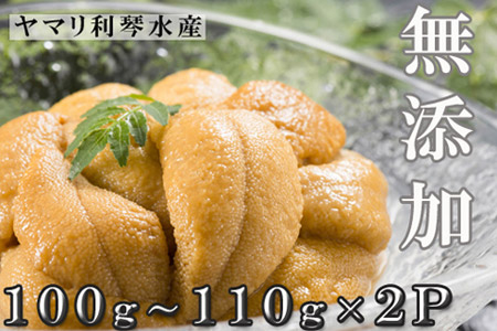 B-70004 ムラサキウニ塩水パック100~110g×2P