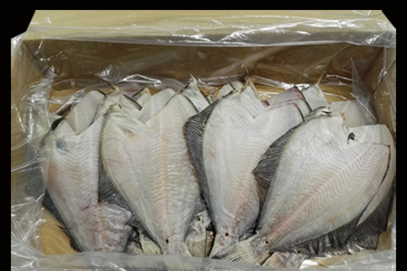 【北海道根室産】一夜干し浅羽がれい20枚 A-11059