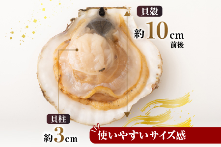 ＼漁業者応援品／片貝ほたて10枚×2P A-14134