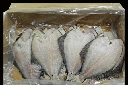 【北海道根室産】根室海鮮市場[直送]一夜干し浅羽かれい20枚 A-28059