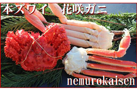 [12月21日決済分まで年内配送]ズワイガニ1～2肩と花咲ガニ1～2尾セット A-57002
