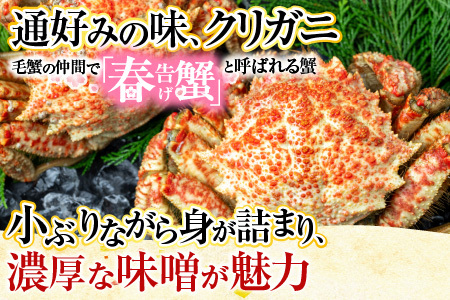 [12月21日決済分まで年内配送]【北海道根室産】花咲ガニとクリガニセット5～6尾(計1.5kg前後) A-57015