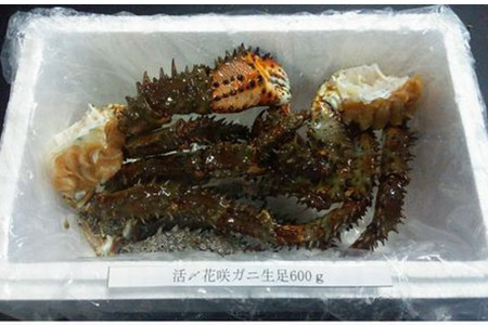 【12/31決済分まで1月中配送】 【北海道根室産】活〆花咲ガニ生足600g A-57020