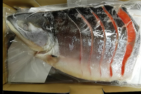 天然紅鮭切身4P(1尾分) C-11023