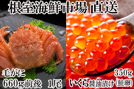 ボイル毛ガニ660g前後×1尾、いくら醤油漬け(鮭卵)70g×5P B-14027