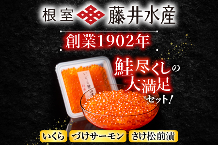 [鮭匠ふじい]いくら・サーモンづくし B-42016