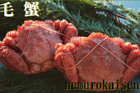 B-57015 【北海道根室産】毛ガニ300~350g×2尾