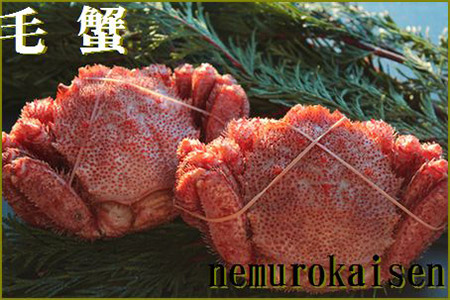 D-57008 【北海道根室産】毛ガニ3~4尾(計1.8kg前後)