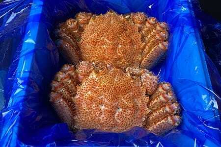 [12月21日決済分まで年内配送]【北海道根室産】毛がに400g前後×2尾 B-21003