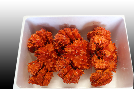 [12月21日決済分まで年内配送]【北海道根室産】花咲かに300g前後～450g前後×3尾 A-70001