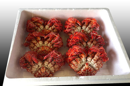 【12/31決済分まで1月中配送】 【北海道根室産】花咲かに300g～450g前後×6尾 C-70005