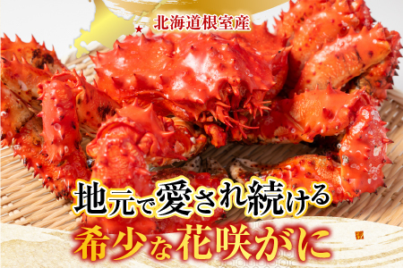 【北海道根室産】花咲かに400g前後~600g前後×2尾 A-30030