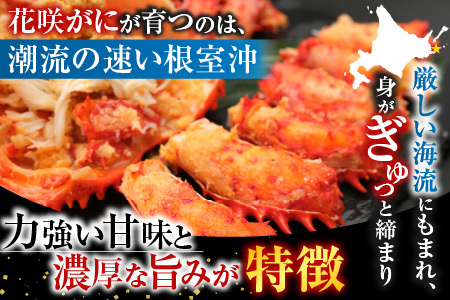 [12月21日決済分まで年内配送]【北海道根室産】花咲かに300g前後～450g前後×3尾 A-36001
