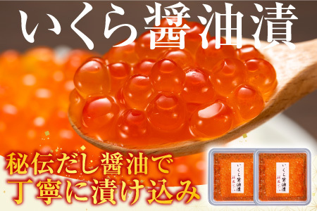 【北海道根室産】[鮭匠ふじい]鮭・いくら詰合せ A-42064